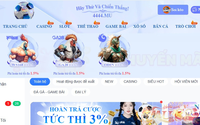Khám phá sảnh Đá Gà Mu88 chất lượng Khám phá sảnh Đá Gà Mu88 chất lượng