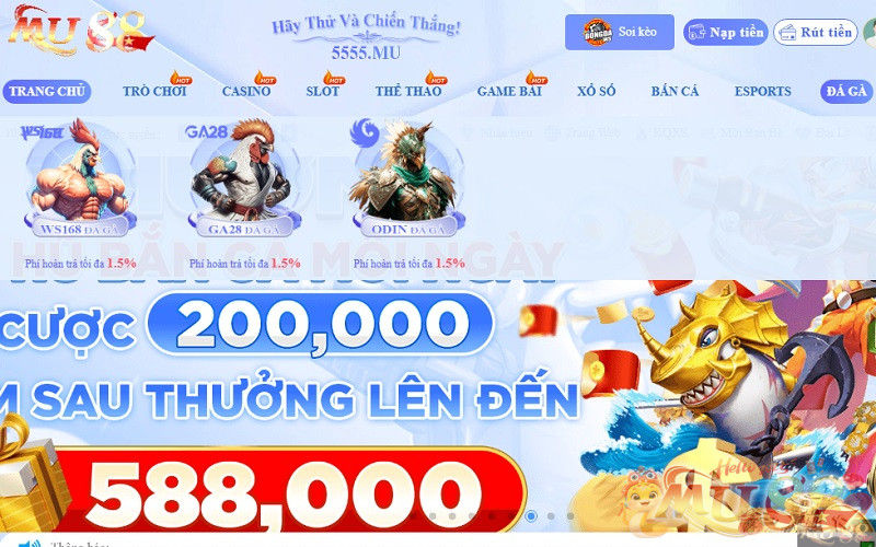 Luật chơi Đá Gà Mu88