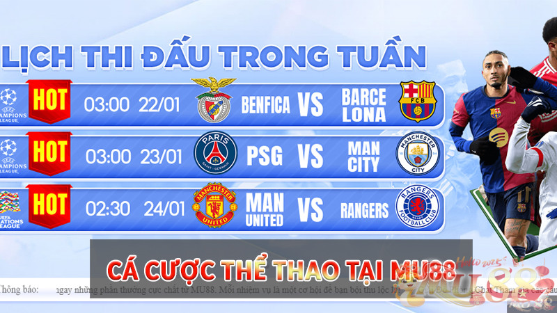 cá cược Thể Thao tại Mu88 cá cược Thể Thao tại Mu88